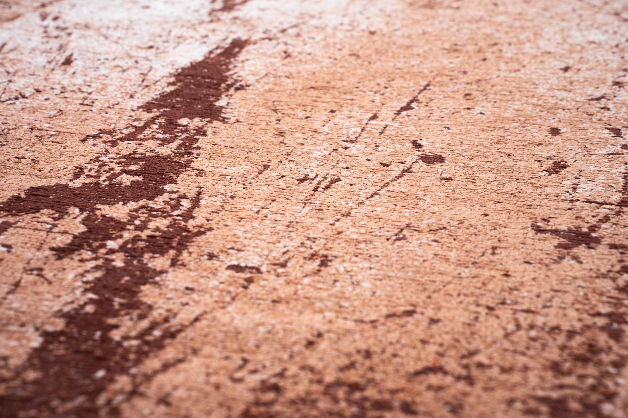 Dragonfly tapijt | Maat: 200 × 280 cm