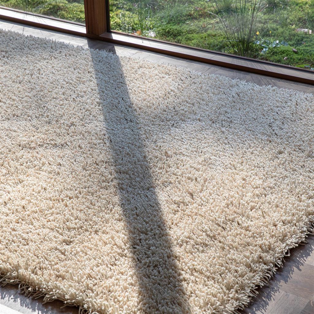 Tapis Ray coco à poils longs | Taille: 250 × 350 cm