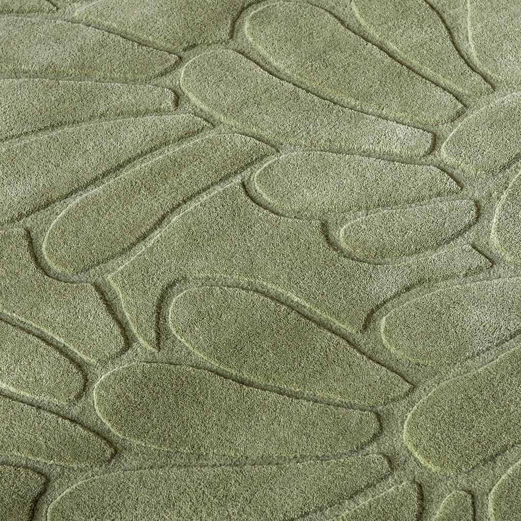 Tapis Coleby Petals vert haie | Taille: 250 × 350 cm