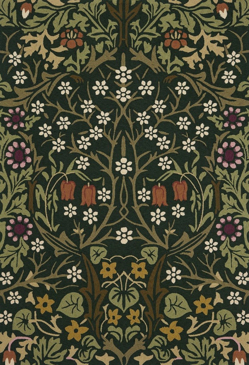 Tapis d’extérieur Blackthorn Tump | Taille: 200 × 280 cm