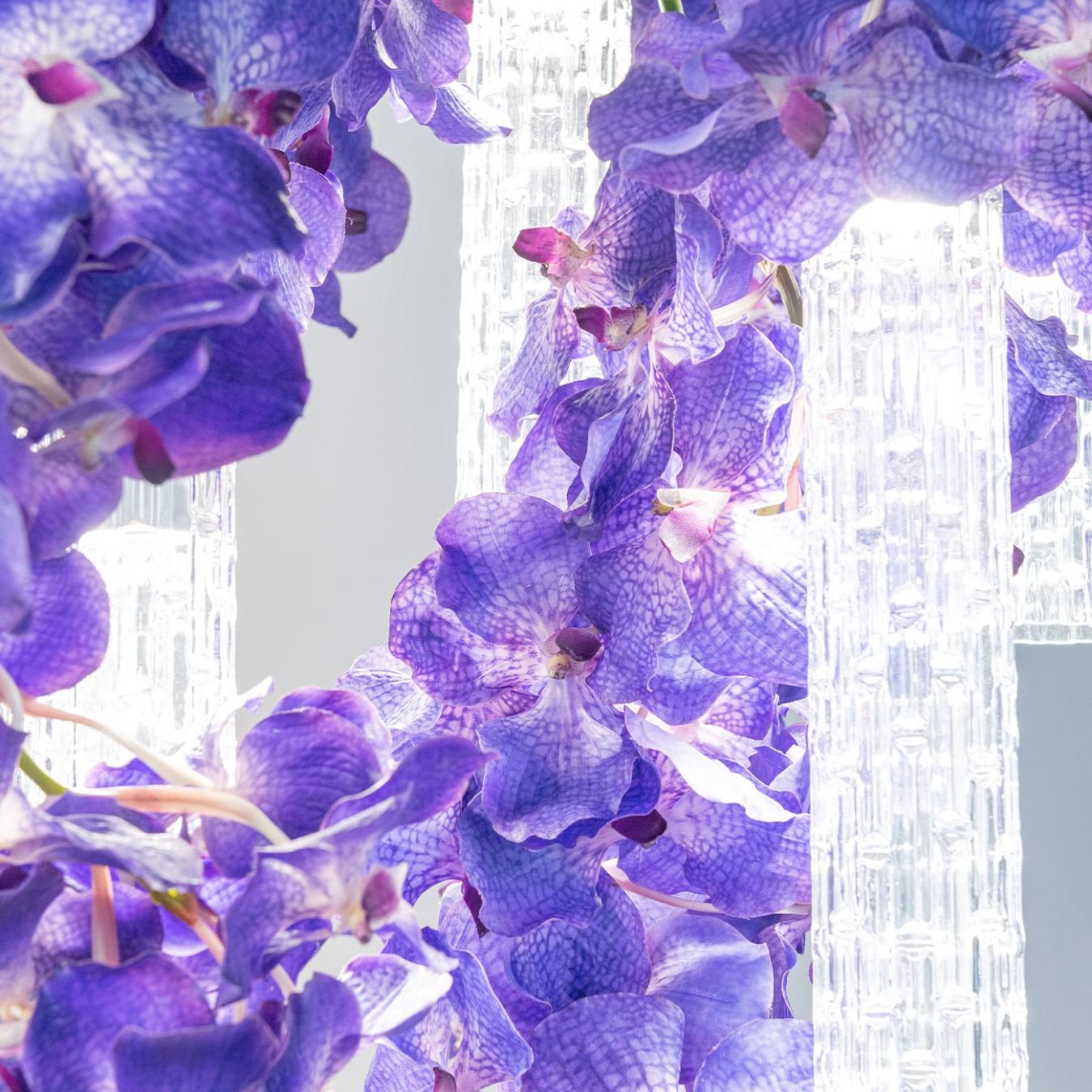 Grand lustre Vanda