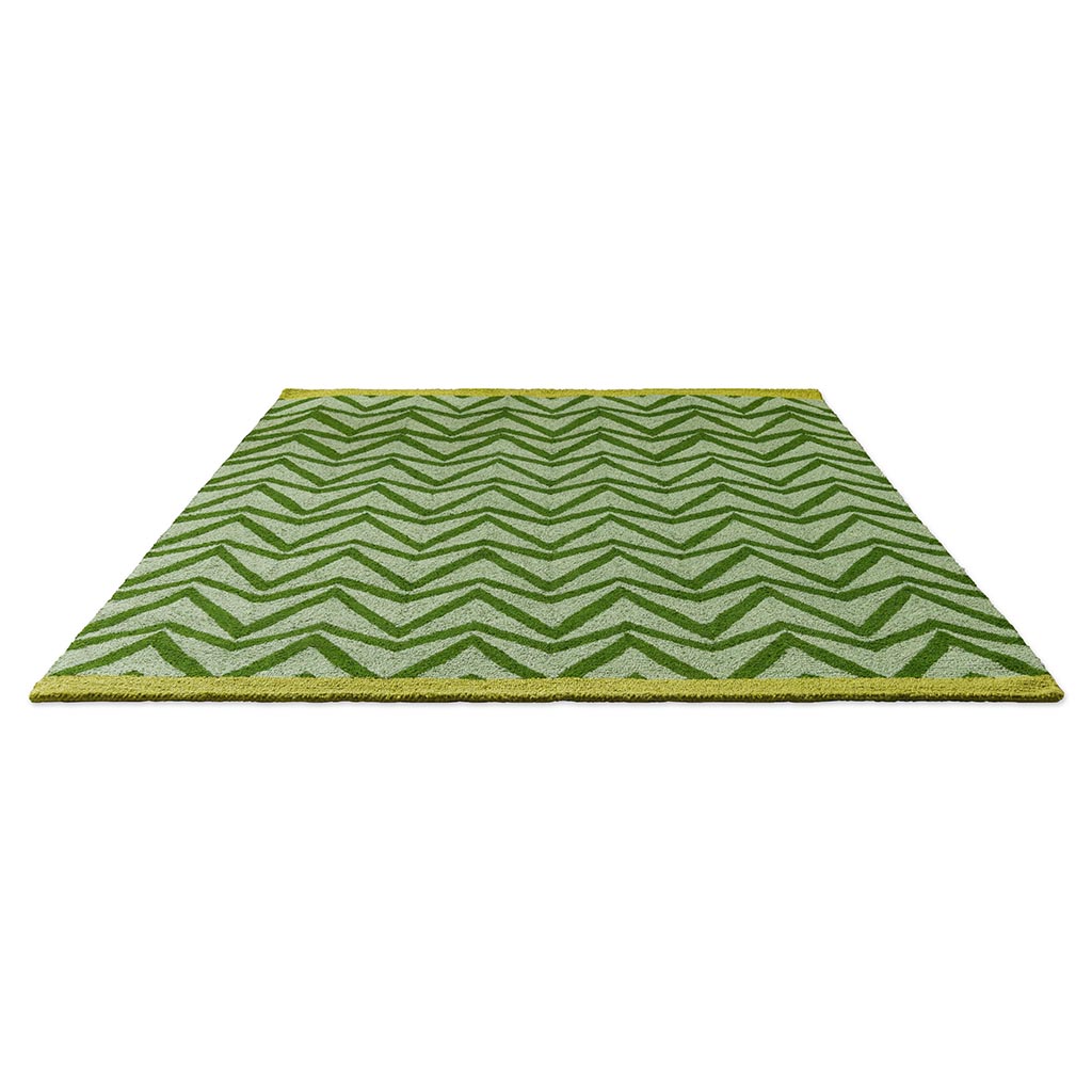 Tapis d’extérieur Dhurrie vert | Taille: 160 × 230 cm