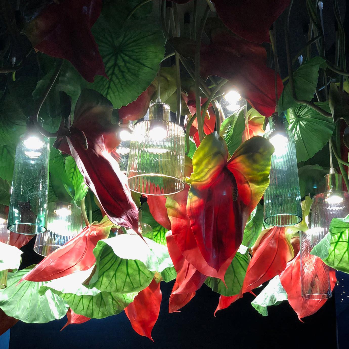 Lustre Anthurium
