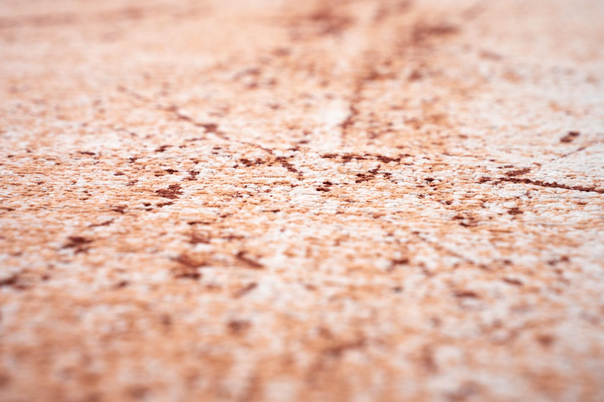 Dragonfly tapijt | Maat: 200 × 280 cm