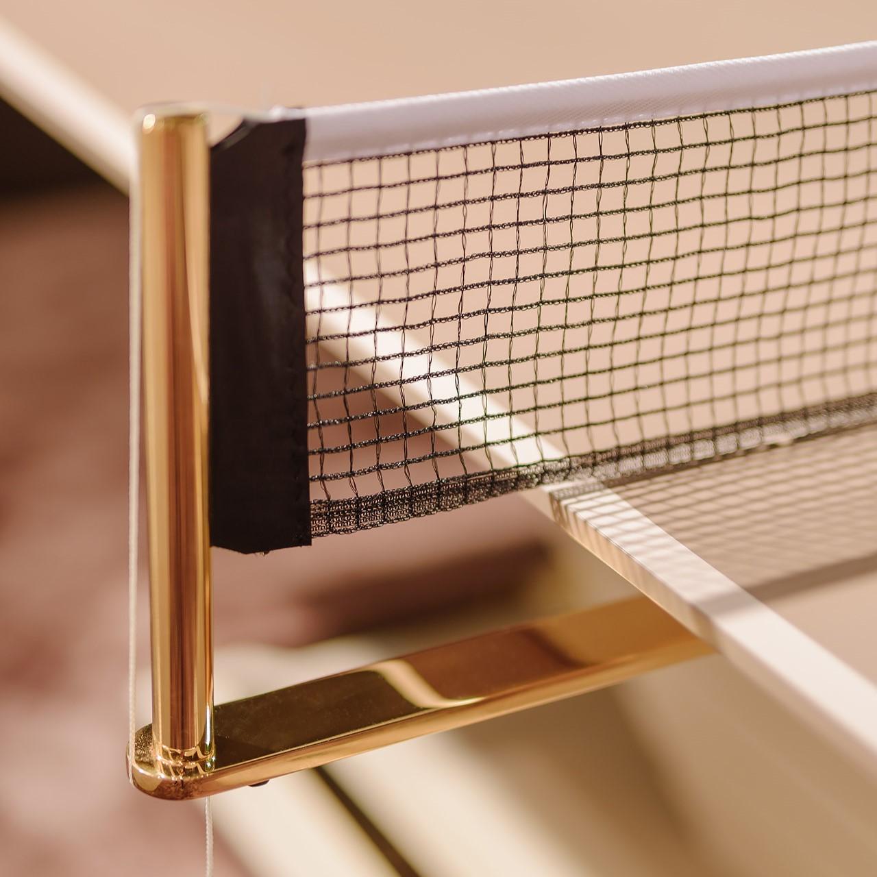 Table de Tennis de Table Arena
