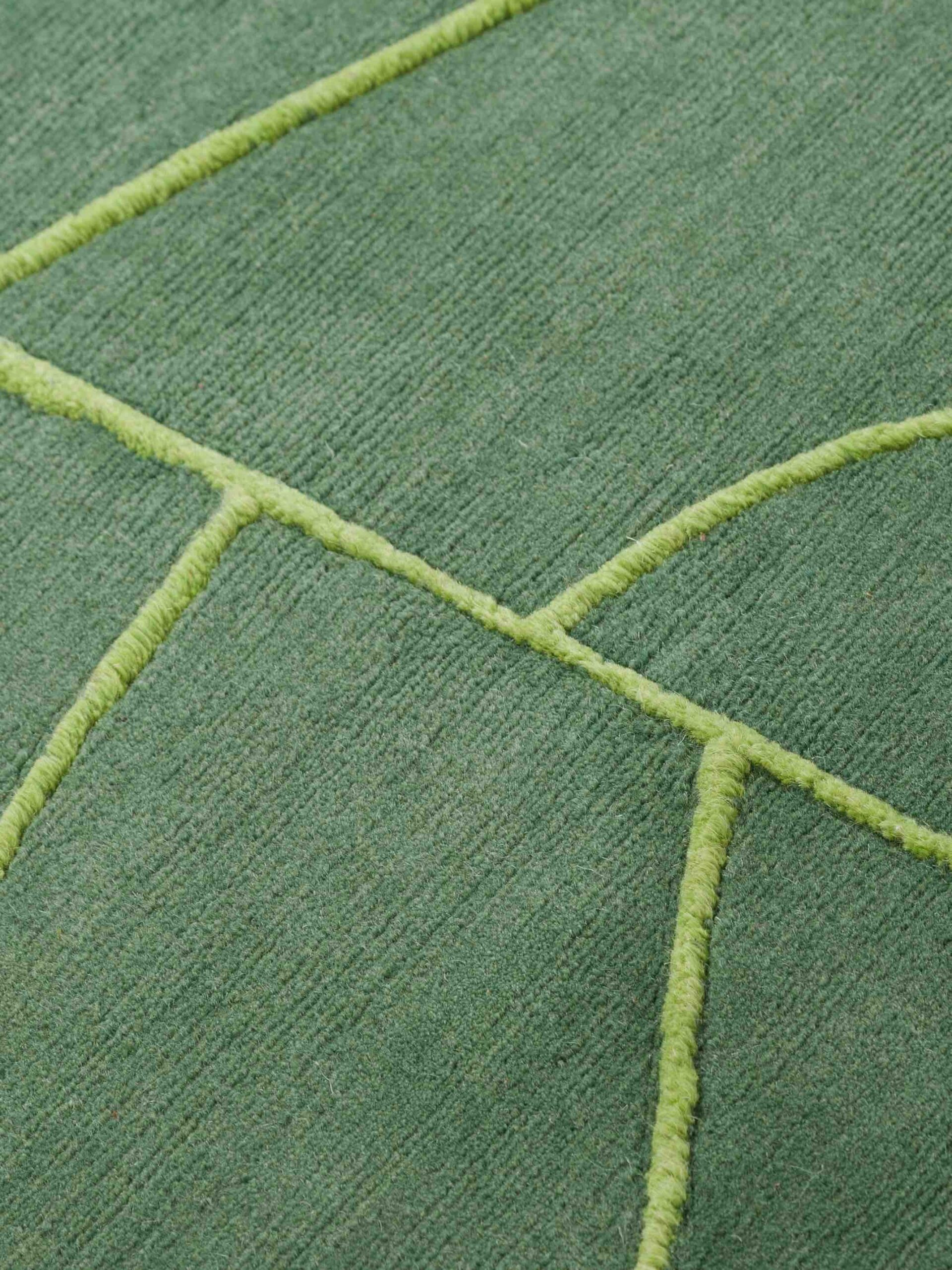 Tapis rond design Ciliophora vert