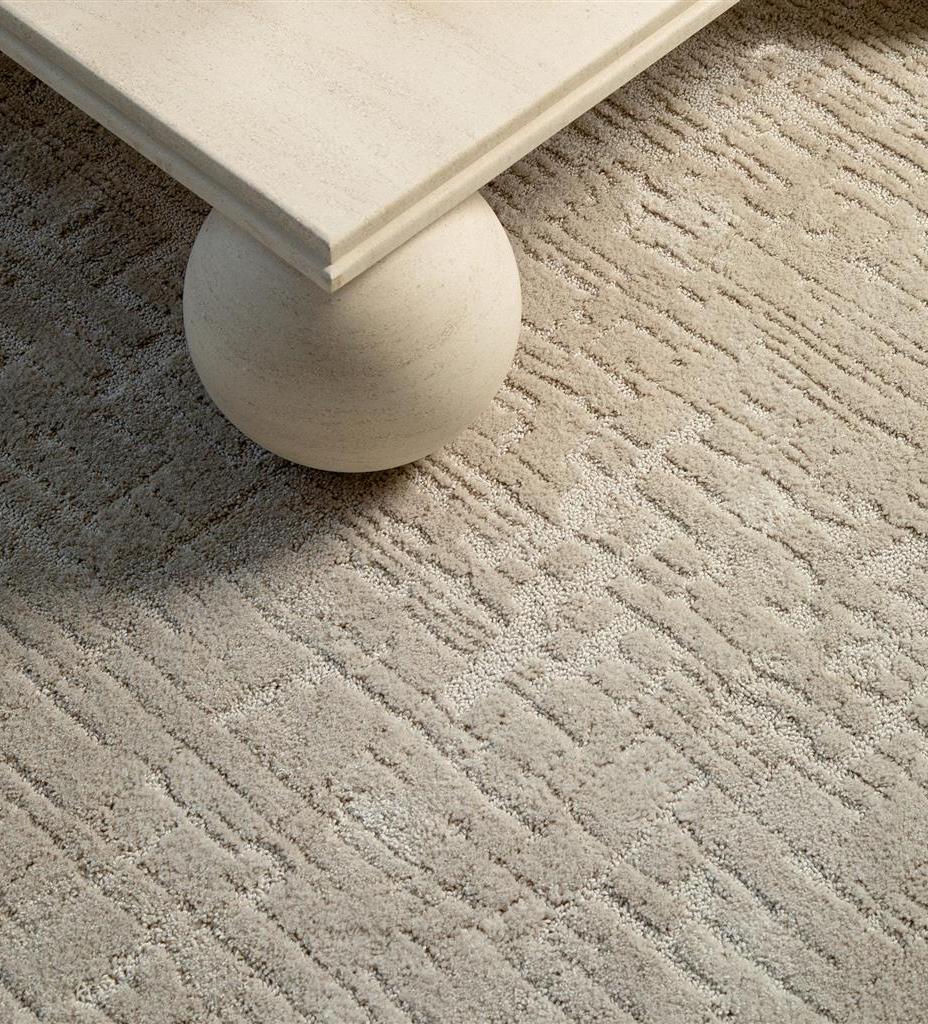Tapis Twinset Urban huître | Taille: 200 × 300 cm