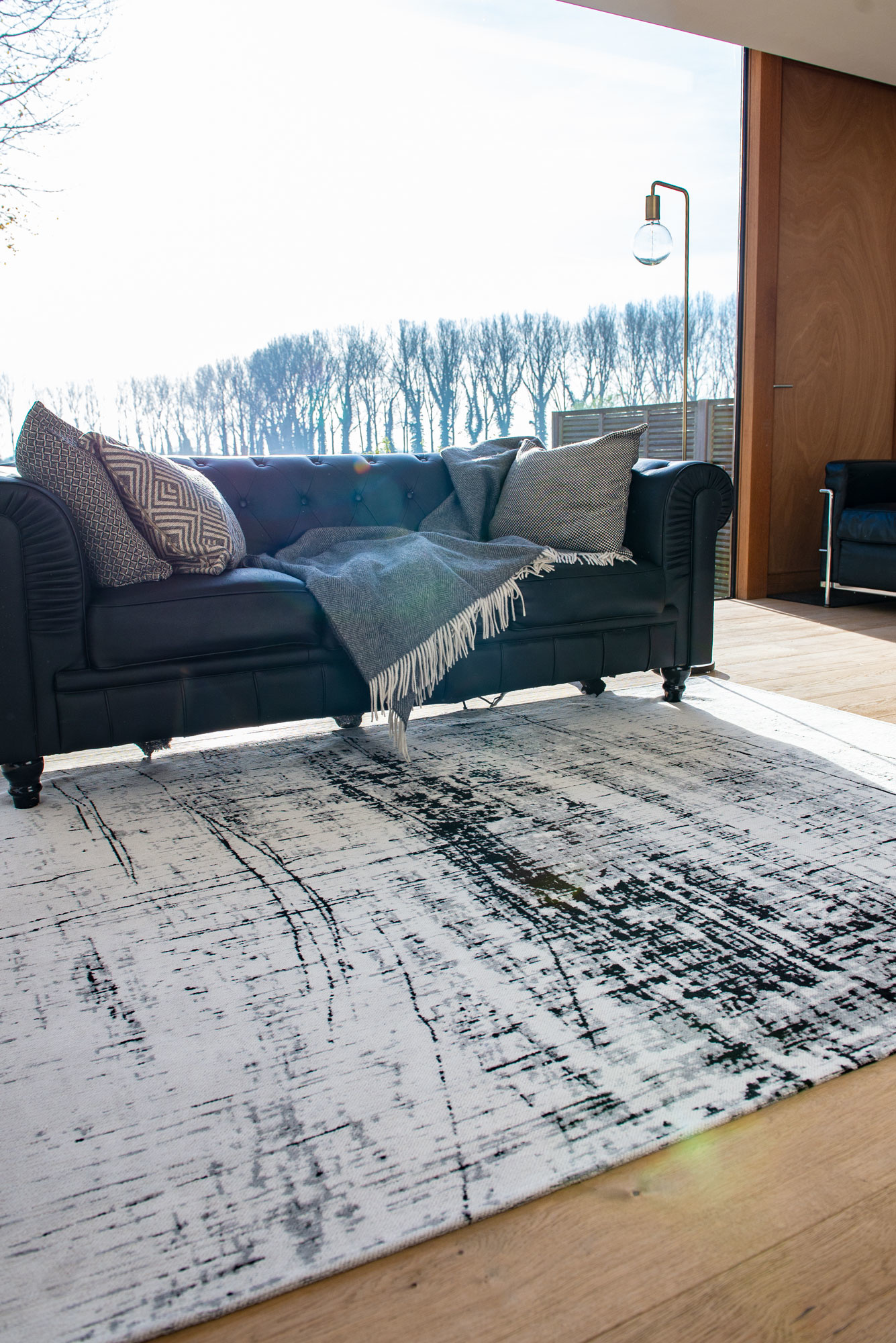 Tapis Copperfield | Taille: 280 × 390 cm