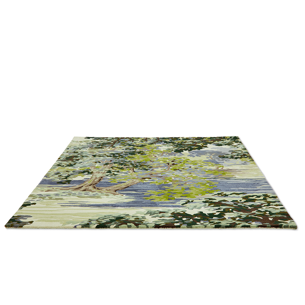 Ancient Canopy bosgroen tapijt | Maat: 170 × 240 cm