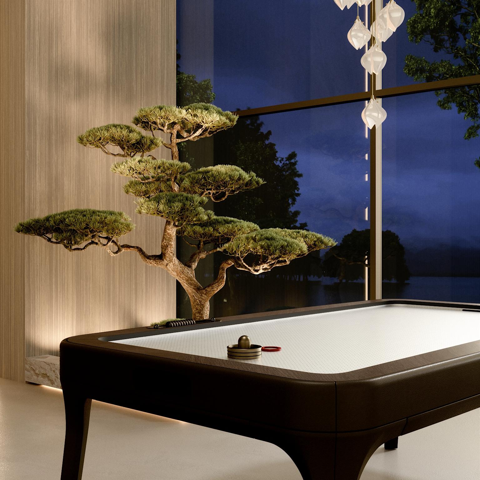Table de Air Hockey Blow