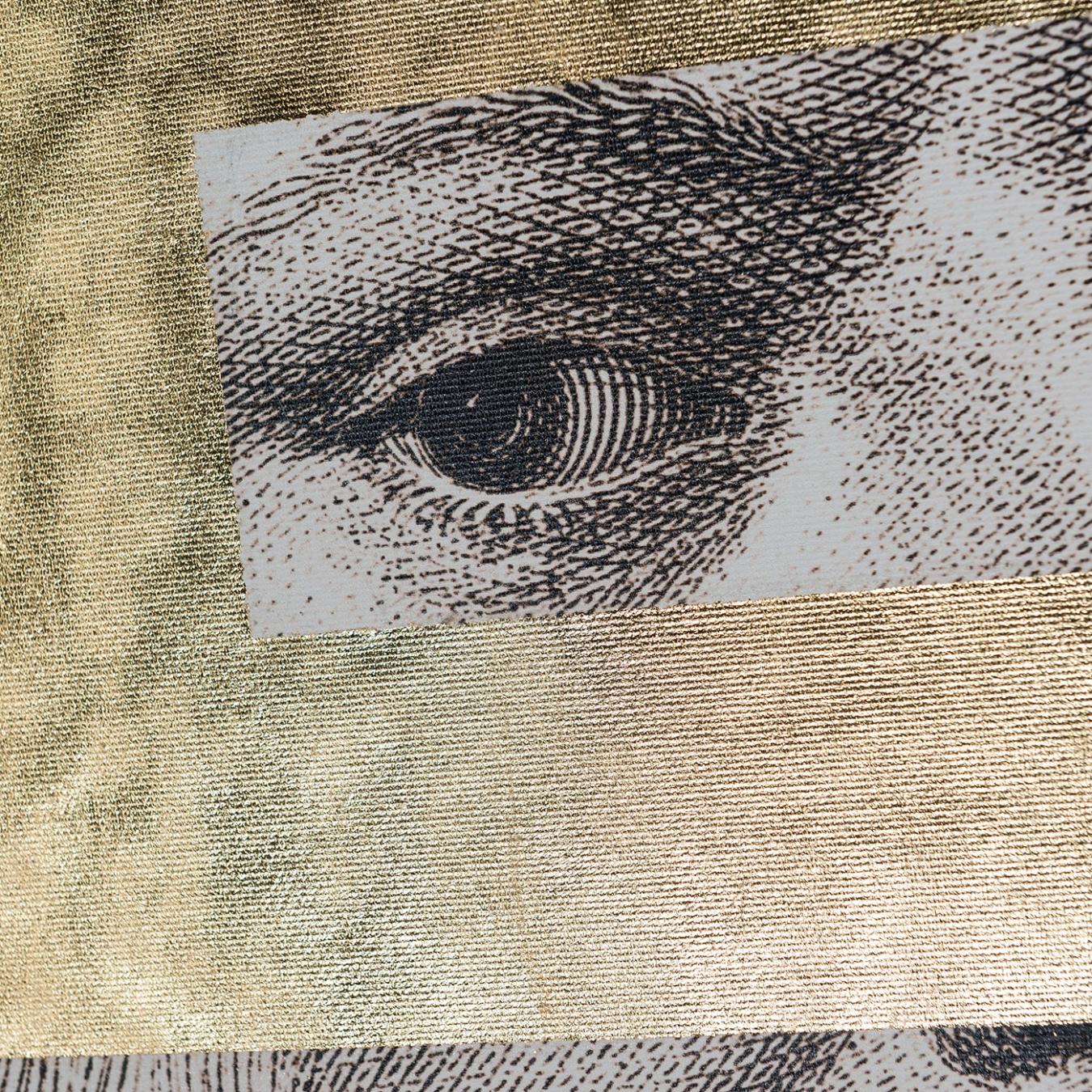 Panneau mural Leonardo Eye