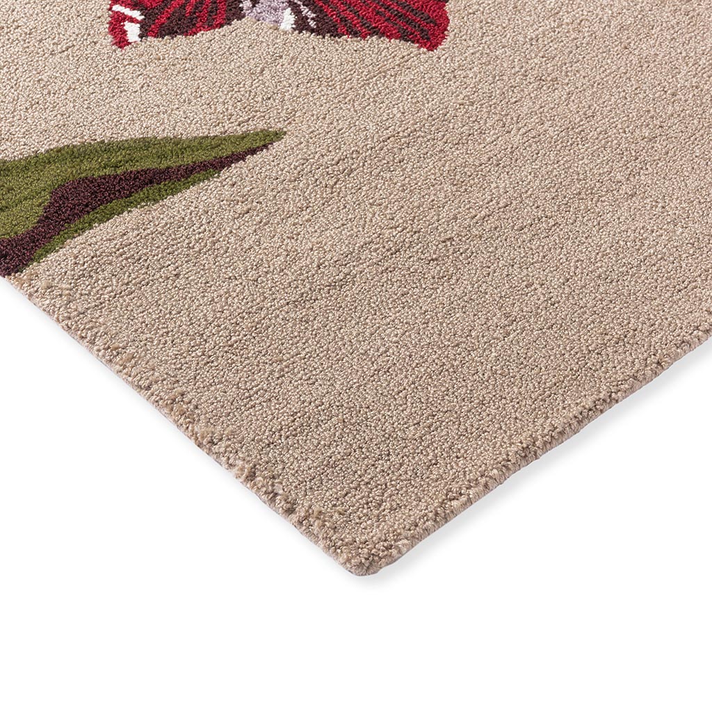 Tapis d’extérieur Botanical Tulip beige/rouge | Taille: 250 × 350 cm