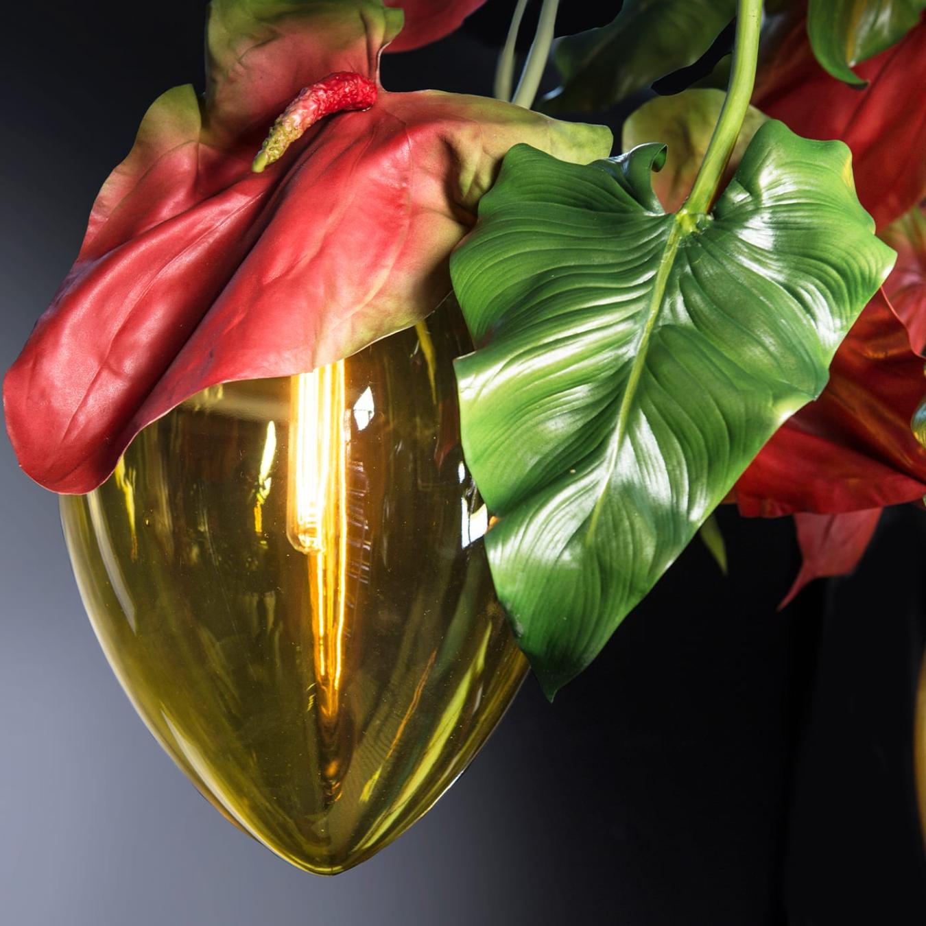 Anthurium donkere kroonluchter