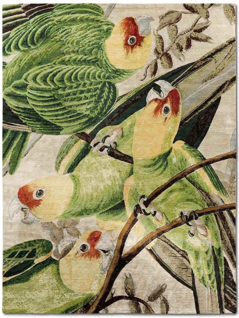Tapis tissé main Parrots