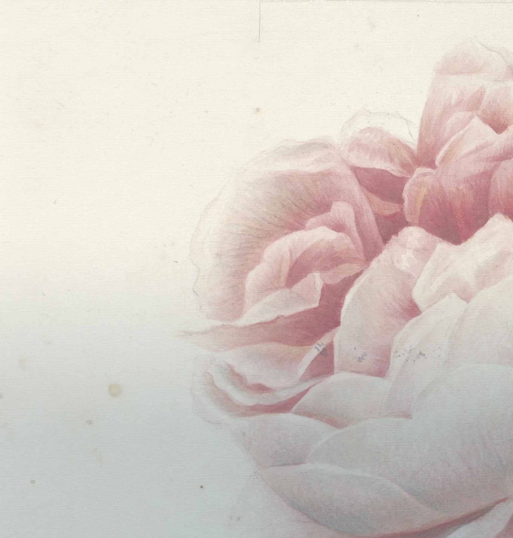 Papier peint Romantic Flowers