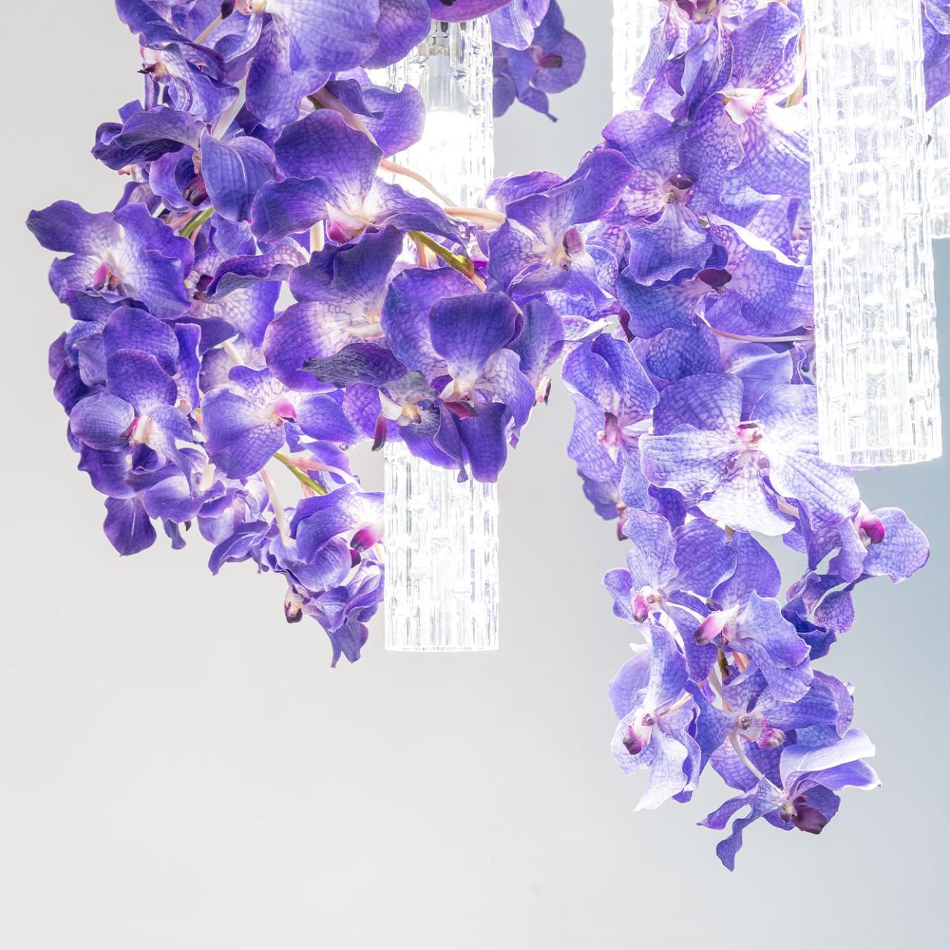 Grand lustre Vanda