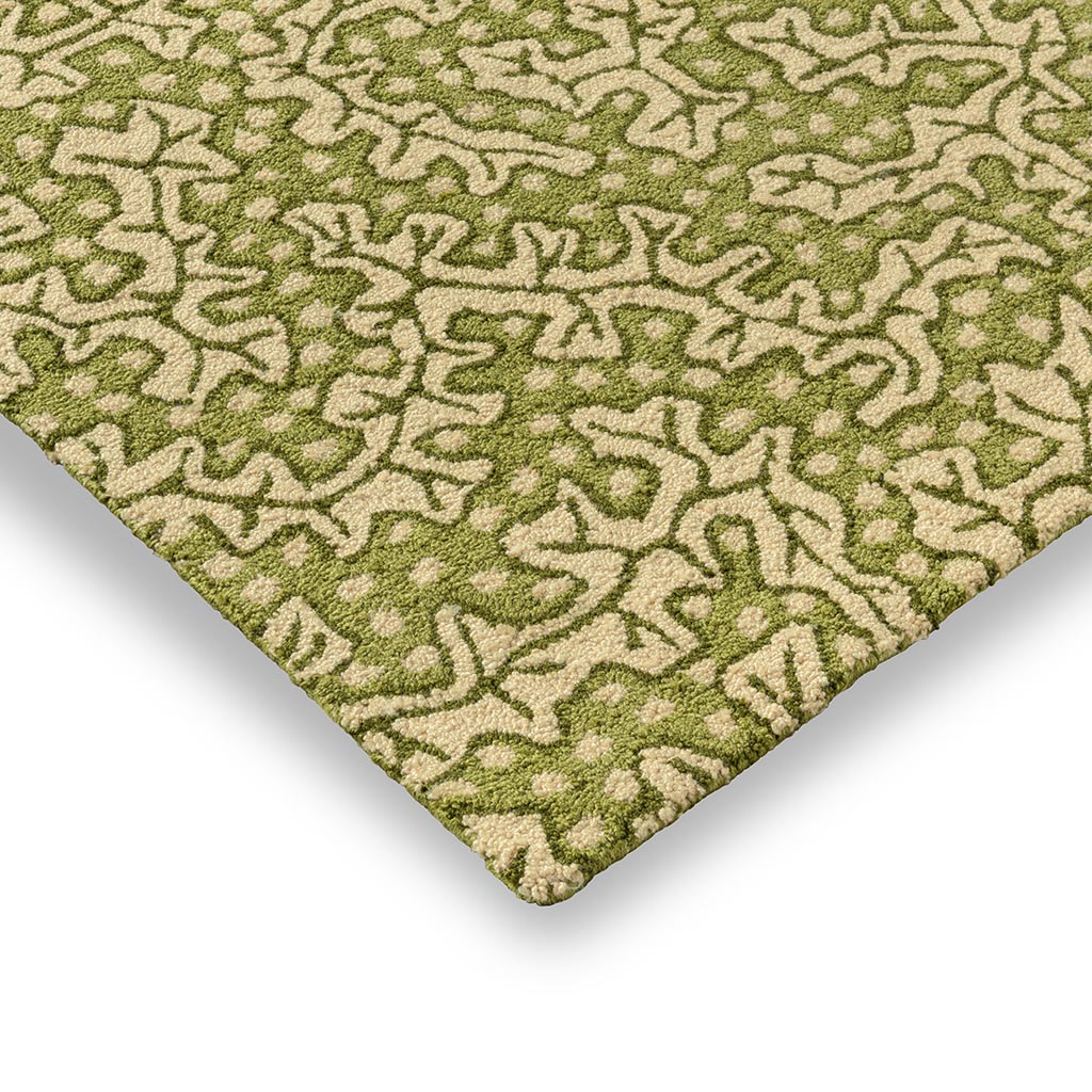 Tapis d’extérieur Truffle olive | Taille: 140 × 200 cm