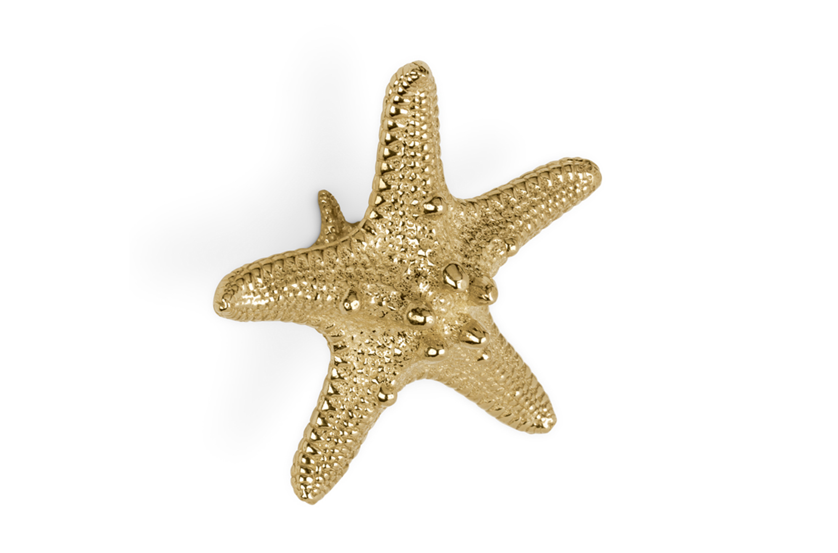 Poignée décorative Étoile de mer Linckia
