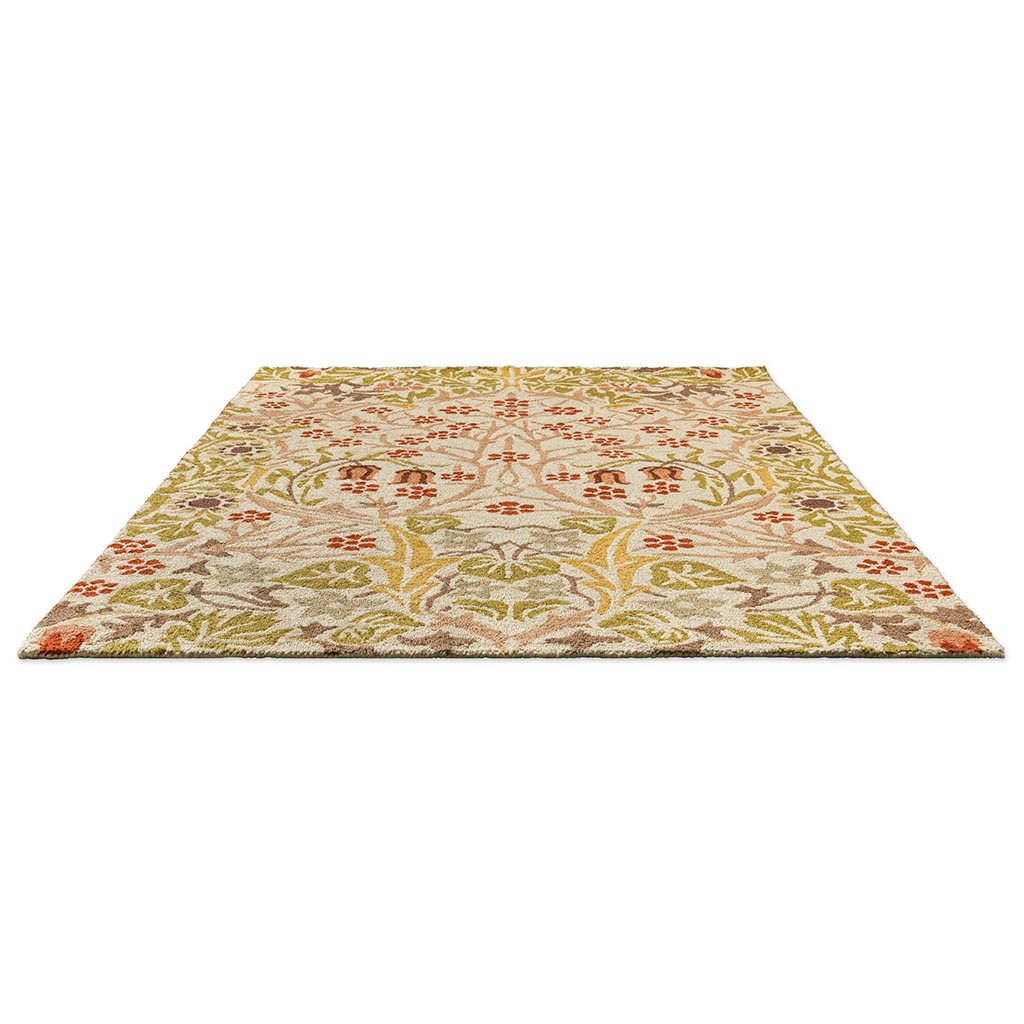 Tapis d’extérieur Blackthorn blé | Taille: 160 × 230 cm