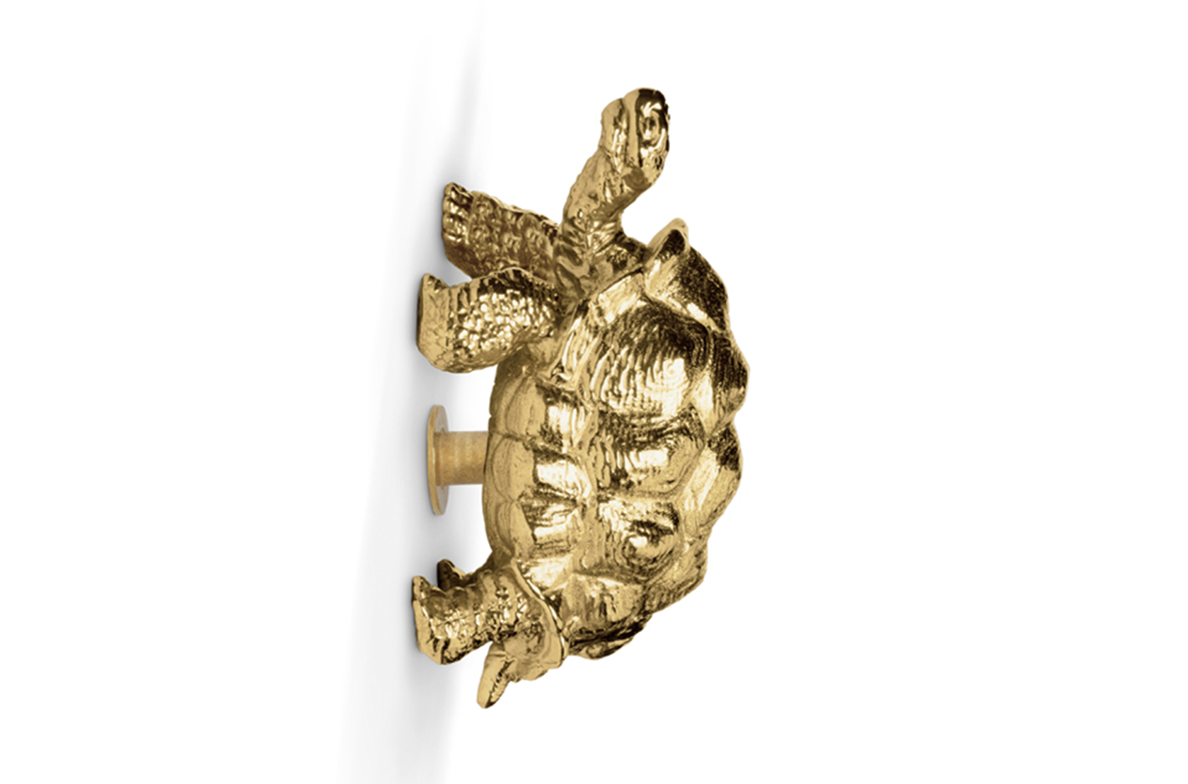 Poignée décorative Tortue