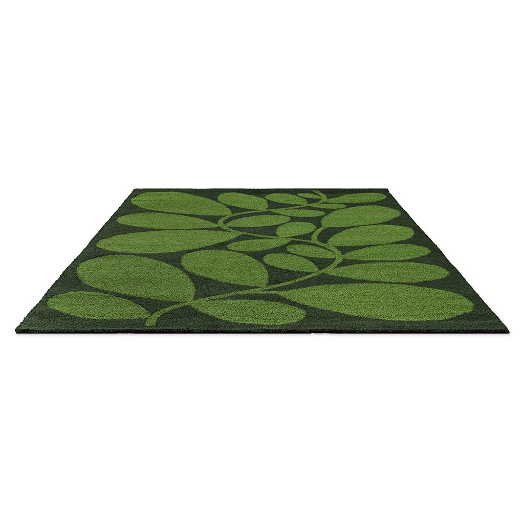 Sycamore dille outdoor tapijt | Maat: 250 × 350 cm