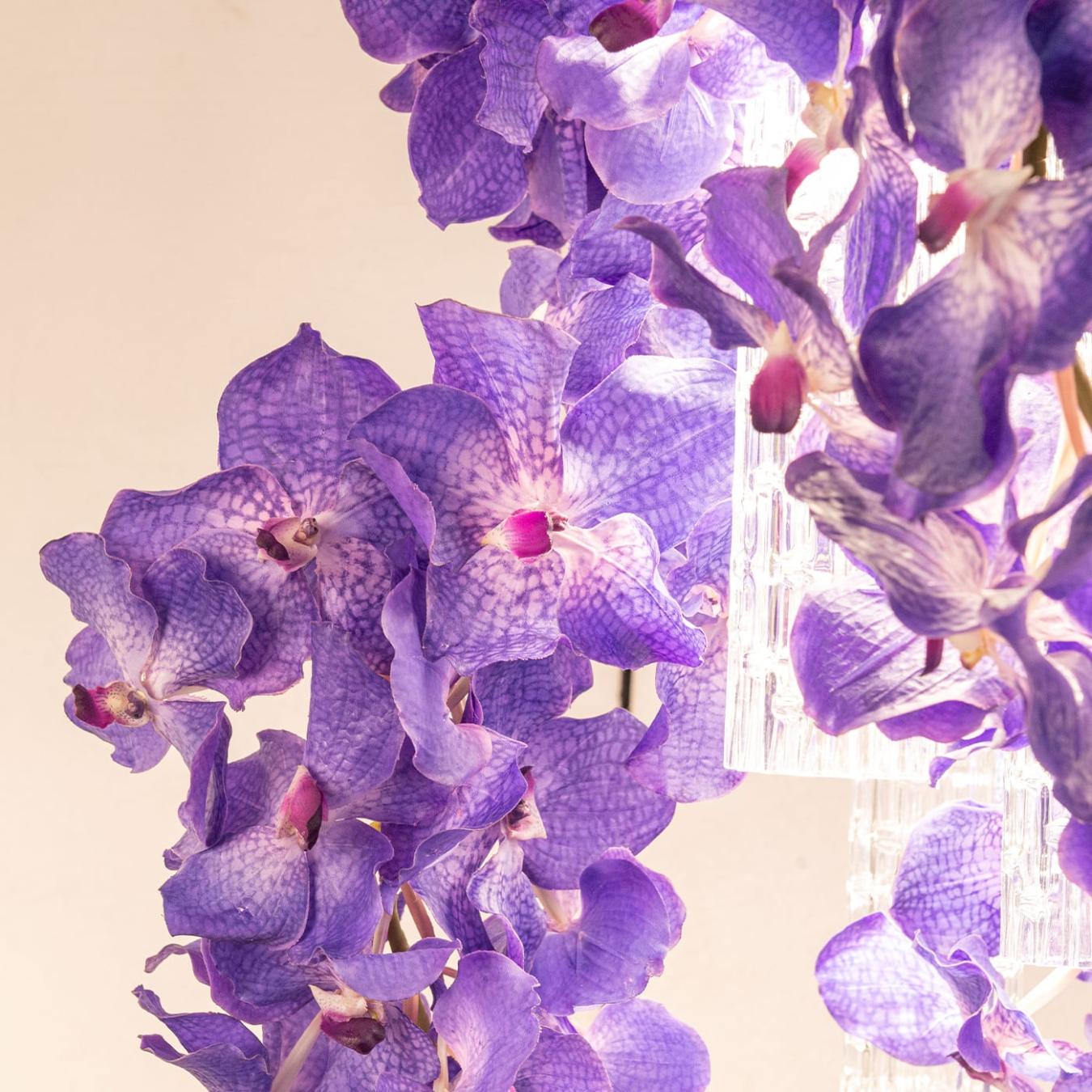 Lustre carré Vanda