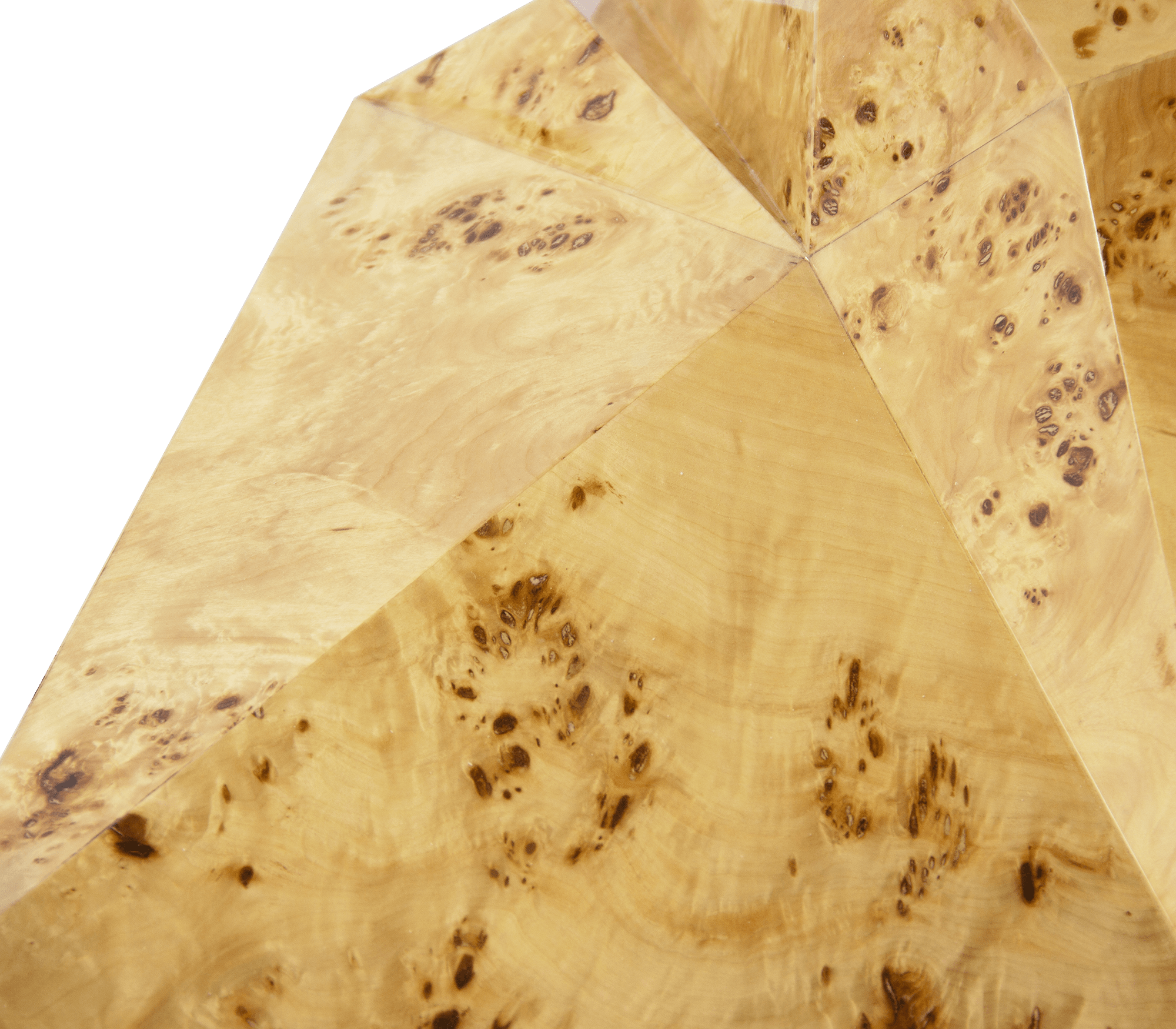 Bonsai populierwortel luxe eettafel