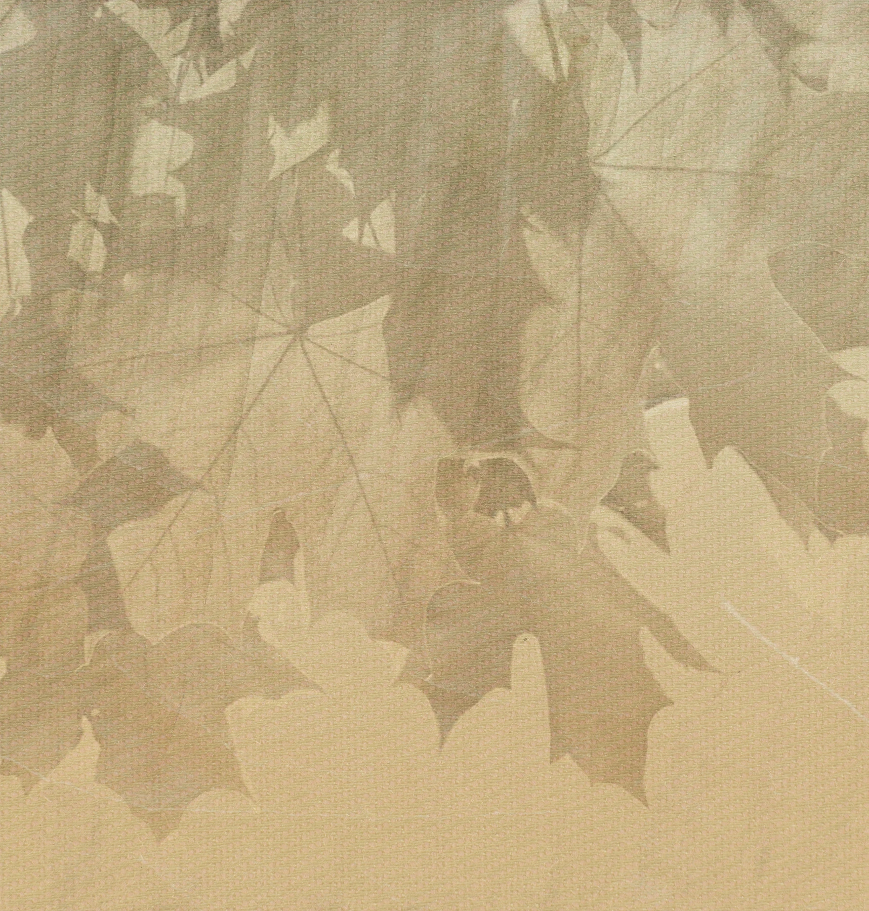Papier peint Creative Leaves