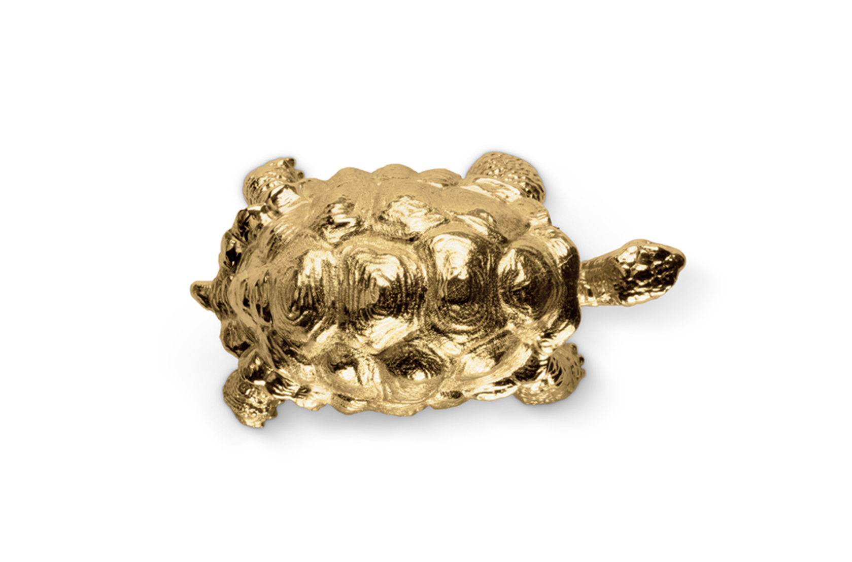Poignée décorative Tortue