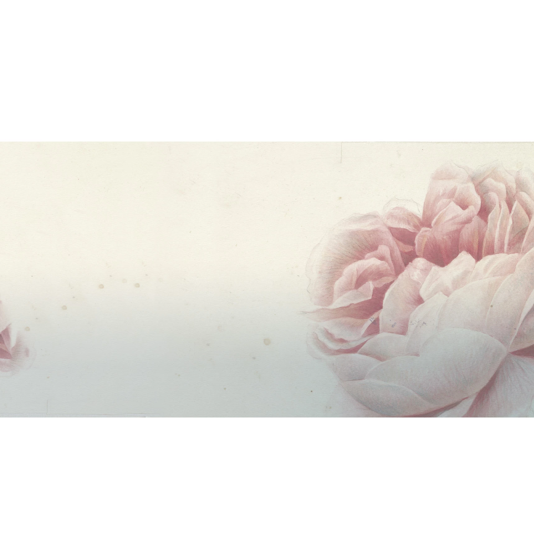 Papier peint Romantic Flowers