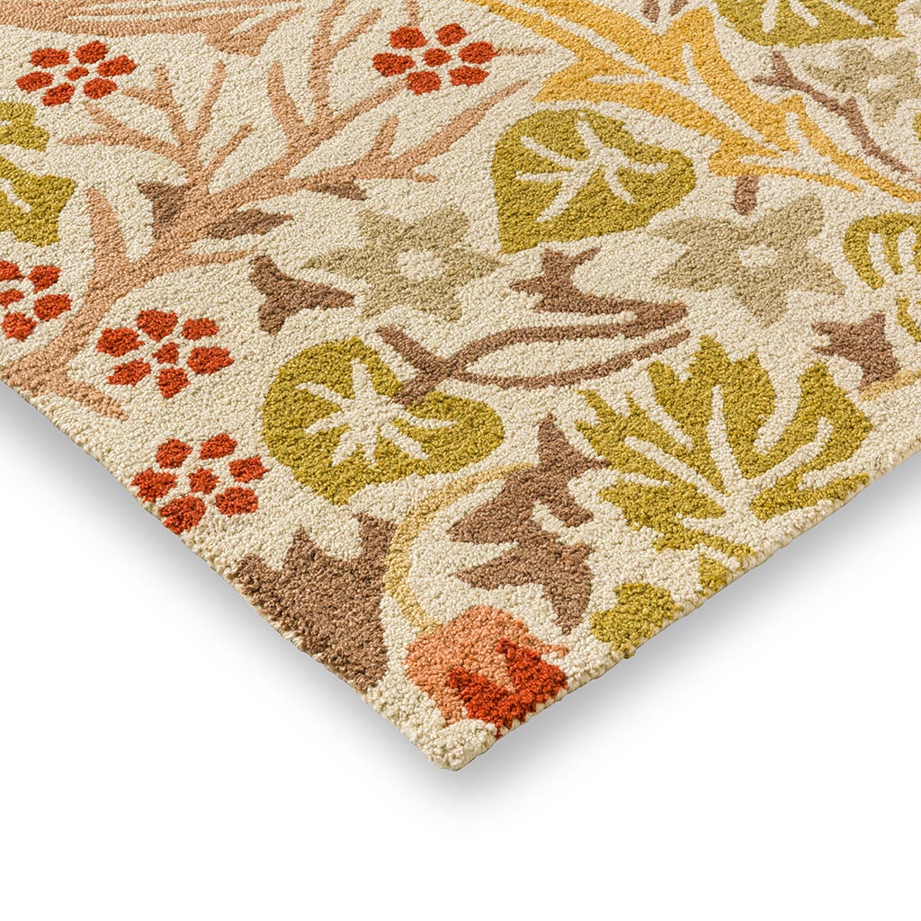 Tapis d’extérieur Blackthorn blé | Taille: 160 × 230 cm