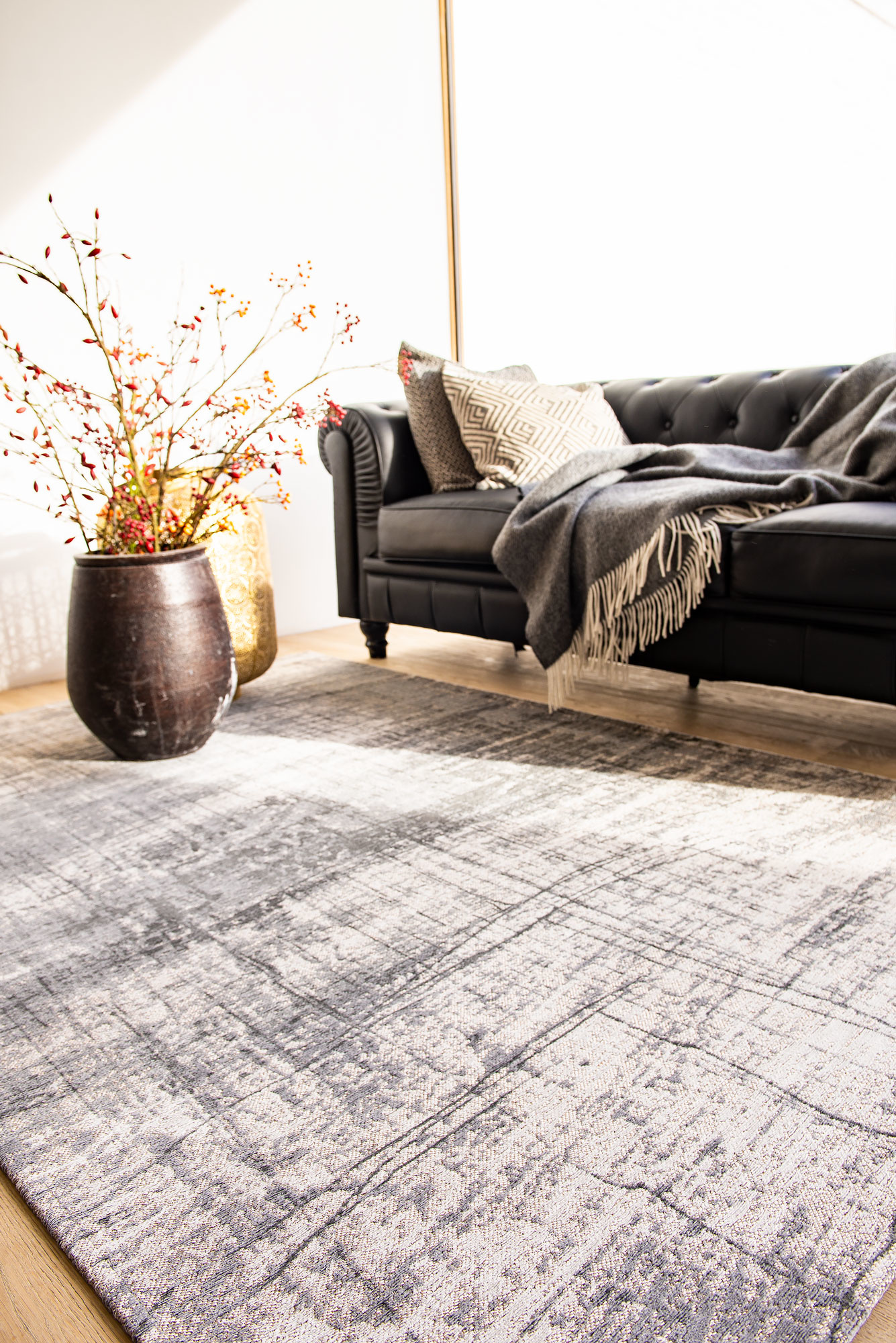 Laccetti Rugiada tapijt | Maat: 280 × 390 cm