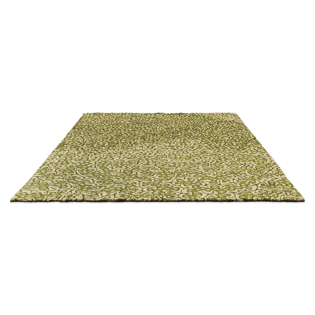 Tapis d’extérieur Truffle olive | Taille: 140 × 200 cm