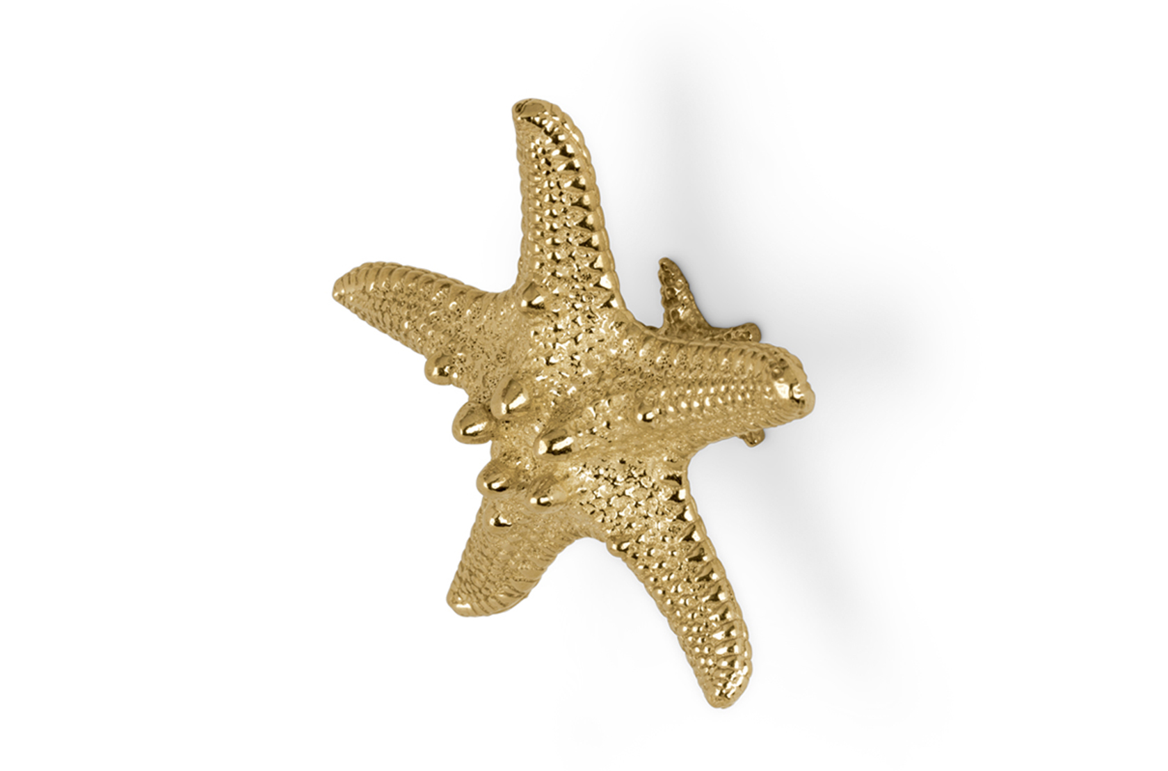Poignée décorative Étoile de mer Linckia