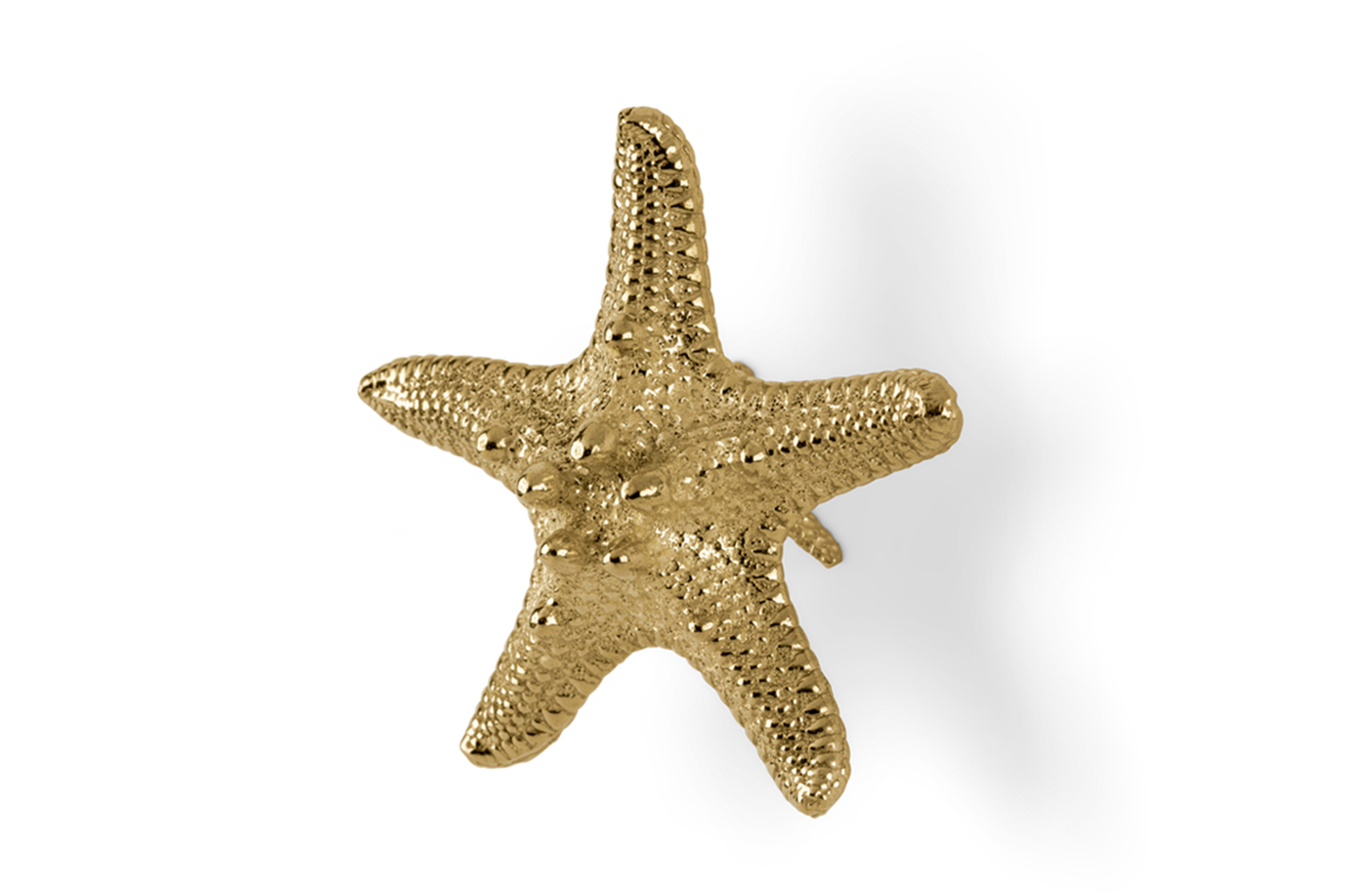 Poignée décorative Étoile de mer Linckia