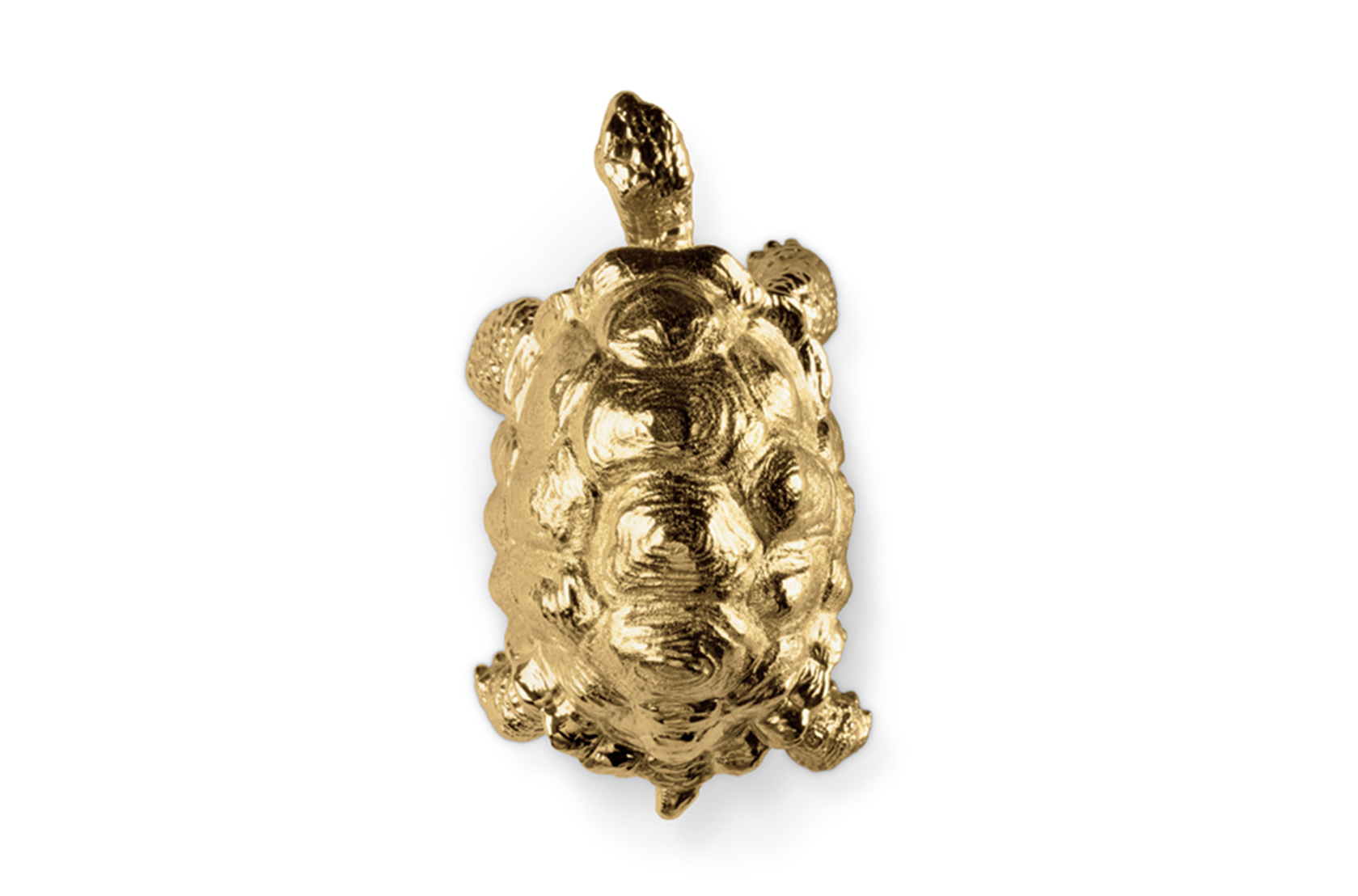 Poignée décorative Tortue