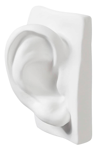 Sculpture de l'oreille de David