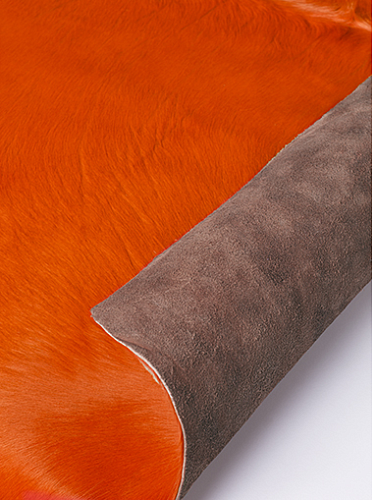 Oranje natuurlijke koeienhuid