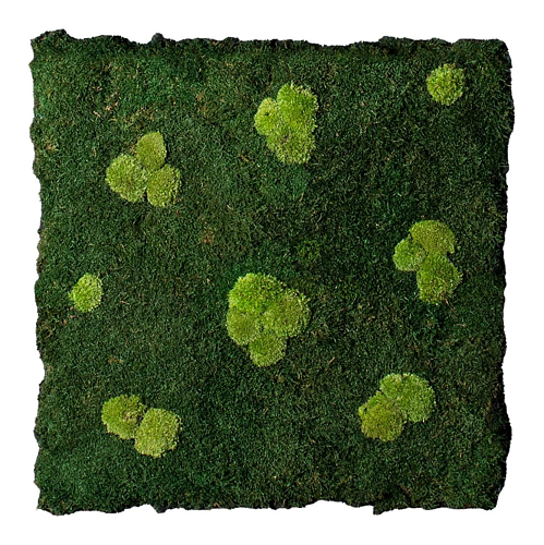 Composition murale Flatmoss & Polemoss