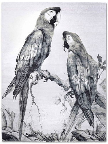 Two Parrots handgeweven vloerkleed