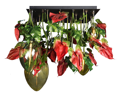 Lustre sombre Anthurium