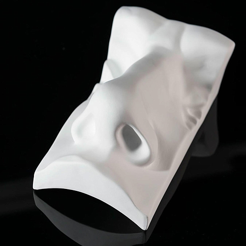 David neus sculptuur