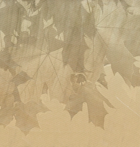 Papier peint Creative Leaves