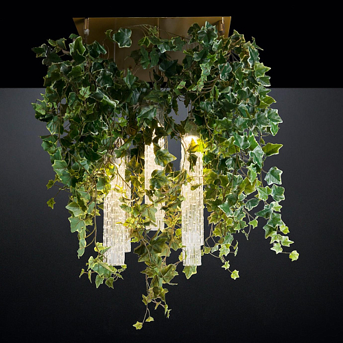 Lustre Ivy