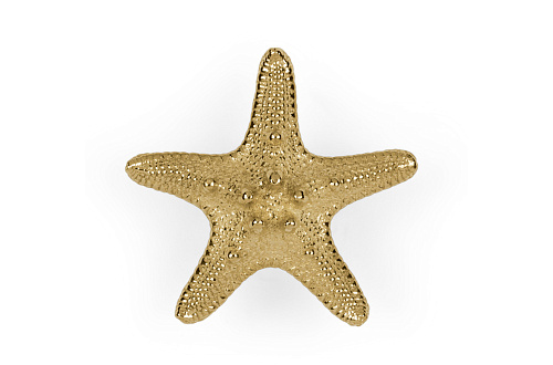 Poignée décorative Étoile de mer Linckia