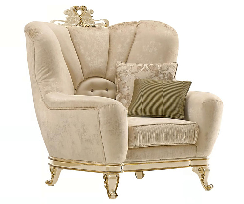 Prachtige fauteuil met armleuningen