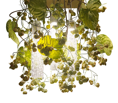 Physalis Anthurium kroonluchter