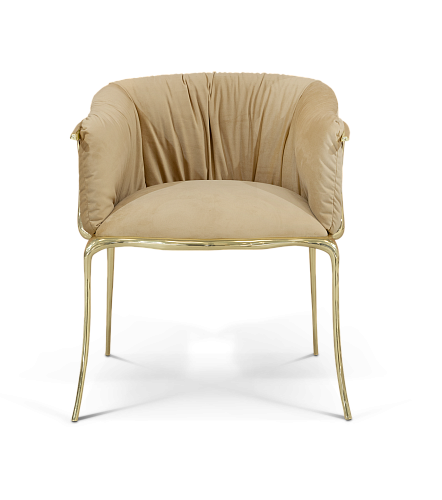 Fauteuil de luxe