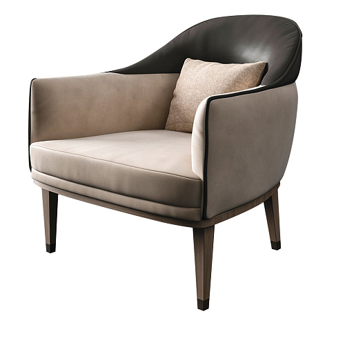 Fauteuil Dragonfly