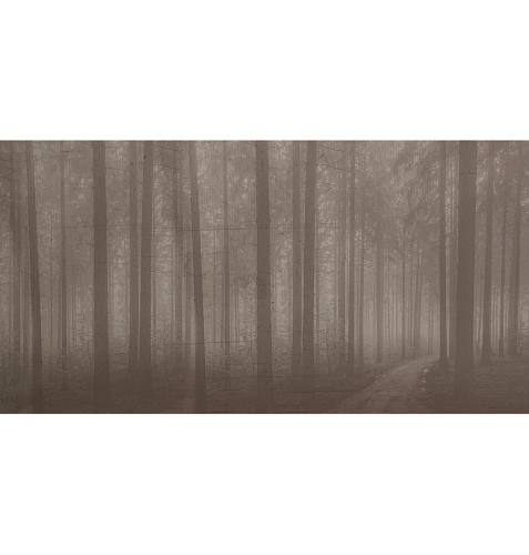Papier peint Night Forest
